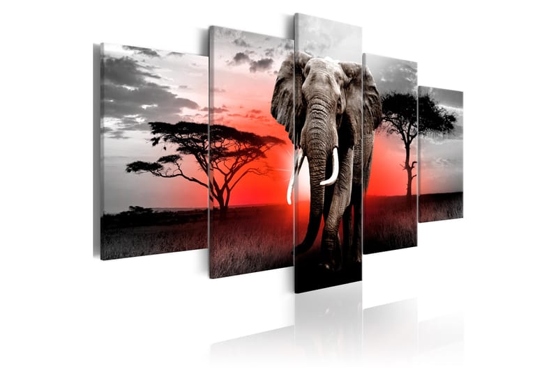 Taulu Lonely Elephant 100x50 - Artgeist sp. z o. o. - Sisustustuotteet - Taulu & taide - Canvas-taulu