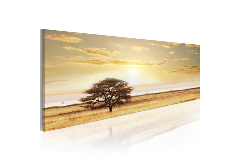 Taulu Lonely Tree On Savannah 120x40, Artgeist sp. z o. o.