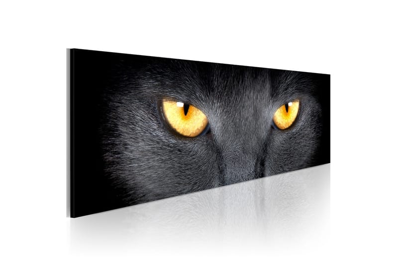 Taulu Look Into My Eyes 120x40 - Artgeist sp. z o. o. - Sisustustuotteet - Taulu & taide - Canvas-taulu