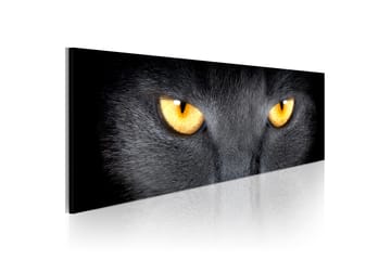Taulu Look into my eyes... 135x45