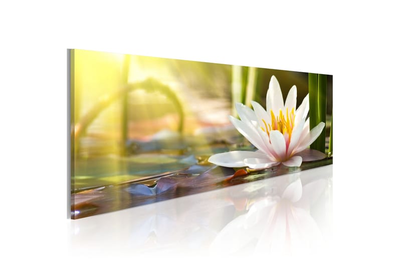 Taulu Lotus' Glow 135x45, Artgeist sp. z o. o.