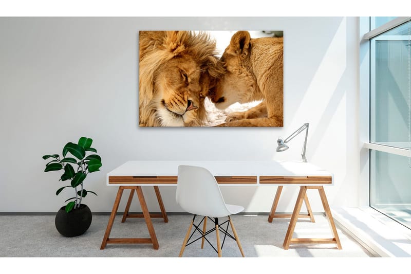 Taulu Love's Secret 90x60, Artgeist sp. z o. o.