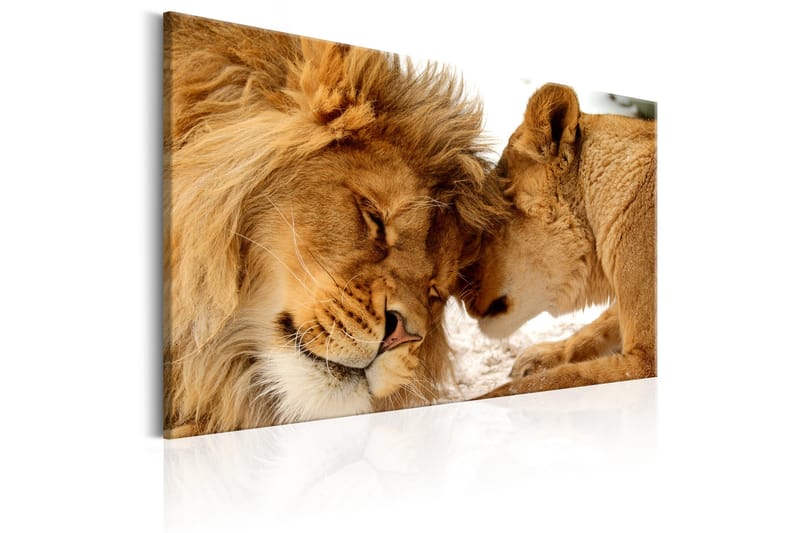 Taulu Love's Secret 90x60 - Artgeist sp. z o. o. - Sisustustuotteet - Taulu & taide - Canvas-taulu