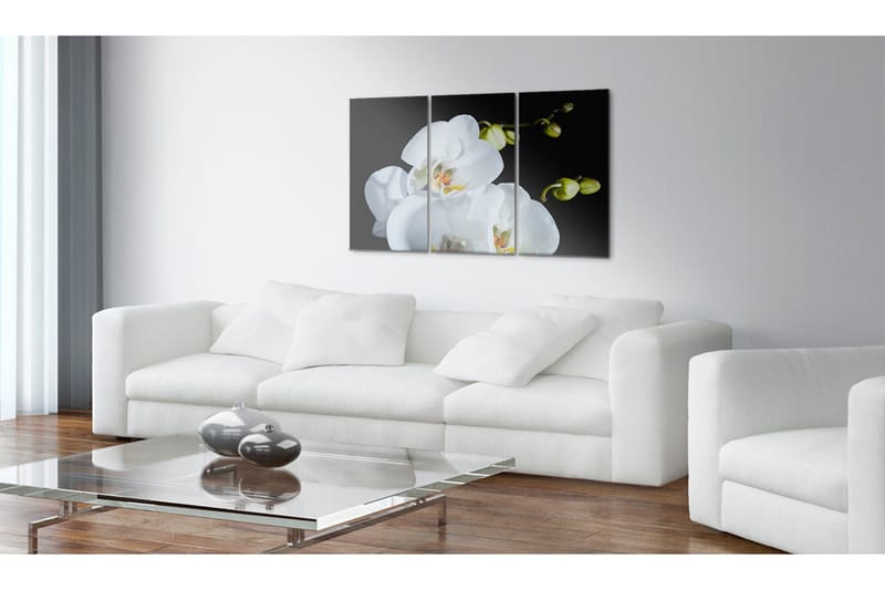 Taulu Luminen orkidea 120x80 - Artgeist sp. z o. o. - Sisustustuotteet - Taulu & taide - Canvas-taulu