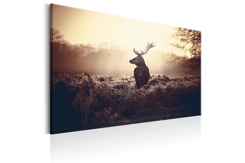 Taulu Lurking Deer 120x80 - Artgeist sp. z o. o. - Sisustustuotteet - Taulu & taide - Canvas-taulu
