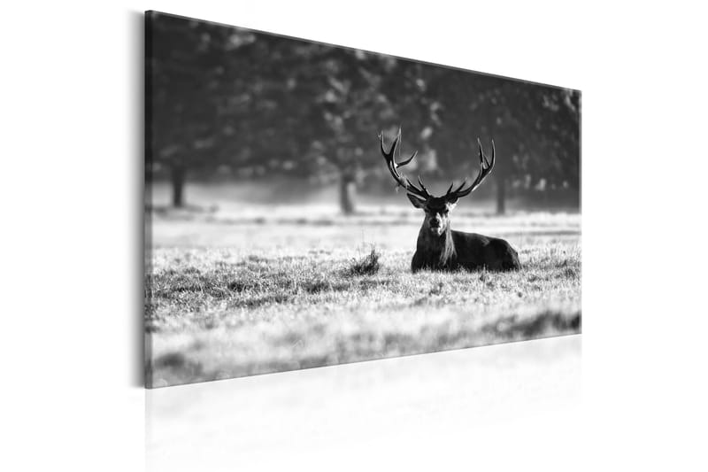 Taulu Lying Deer 90x60 - Artgeist sp. z o. o. - Sisustustuotteet - Taulu & taide - Canvas-taulu