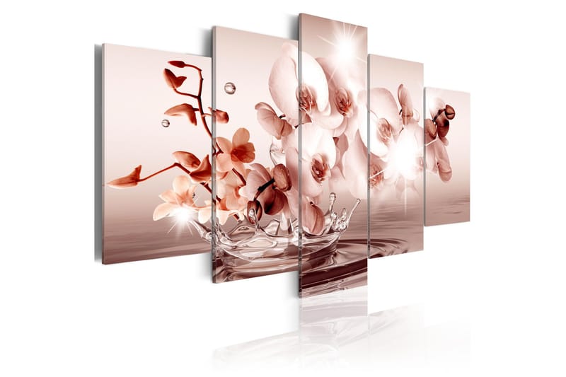 Taulu Lyric Of Orchid 200x100, Artgeist sp. z o. o.