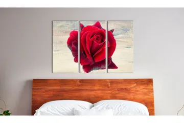 Taulu Lyrical Rose 120x80 - Artgeist sp. z o. o. - Sisustustuotteet - Taulu & taide - Canvas-taulu