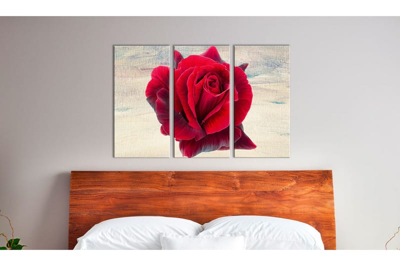 Taulu Lyrical Rose 60x40 - Artgeist sp. z o. o. - Sisustustuotteet - Taulu & taide - Canvas-taulu