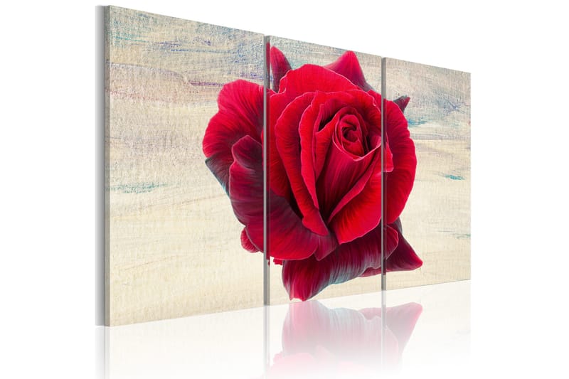 Taulu Lyrical Rose 60x40, Artgeist sp. z o. o.
