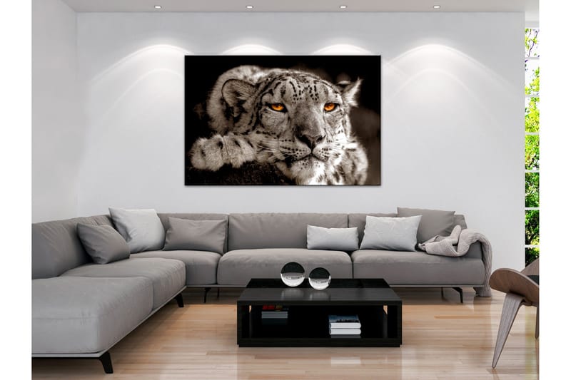 Taulu Magic Eyes (1 Part) Wide 120x80, Artgeist sp. z o. o.