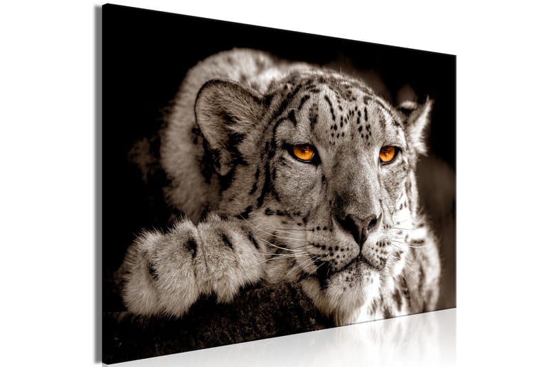 Taulu Magic Eyes (1 Part) Wide 120x80 - Artgeist sp. z o. o. - Sisustustuotteet - Taulu & taide - Canvas-taulu
