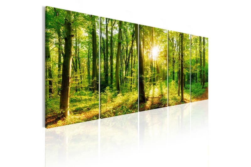 Taulu Magic Forest 200x80 - Artgeist sp. z o. o. - Sisustustuotteet - Taulu & taide - Canvas-taulu