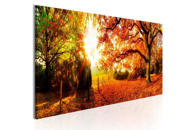 Taulu Magic of Autumn 120x40, Artgeist sp. z o. o.