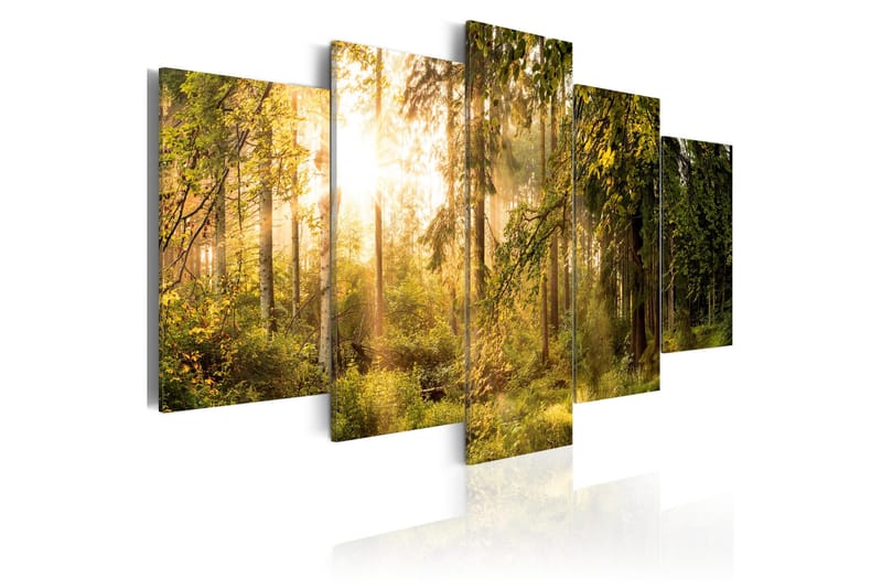 Taulu Magic Of Forest 100x50, Artgeist sp. z o. o.