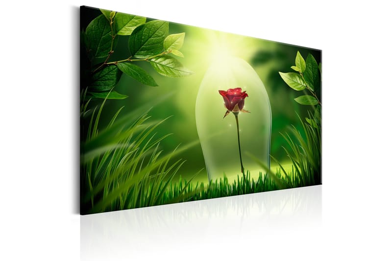 Taulu Magical Rose 90x60 - Artgeist sp. z o. o. - Sisustustuotteet - Taulu & taide - Canvas-taulu