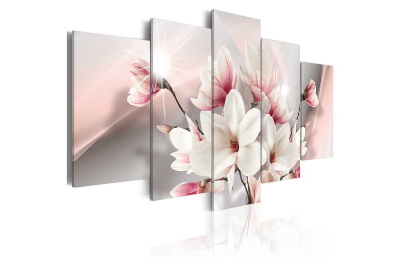 Taulu Magnolia In Bloom 200x100 - Artgeist sp. z o. o. - Sisustustuotteet - Taulu & taide - Canvas-taulu
