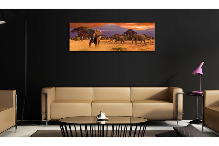 Taulu March Of African Elephants 120x40 - Artgeist sp. z o. o. - Canvas-taulu - Seinäkoristeet