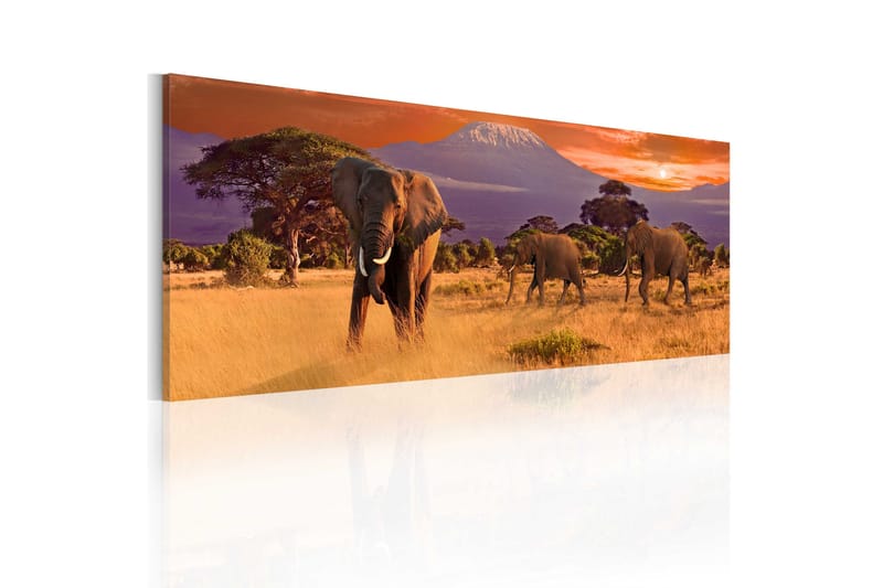 Taulu March Of African Elephants 120x40, Artgeist sp. z o. o.