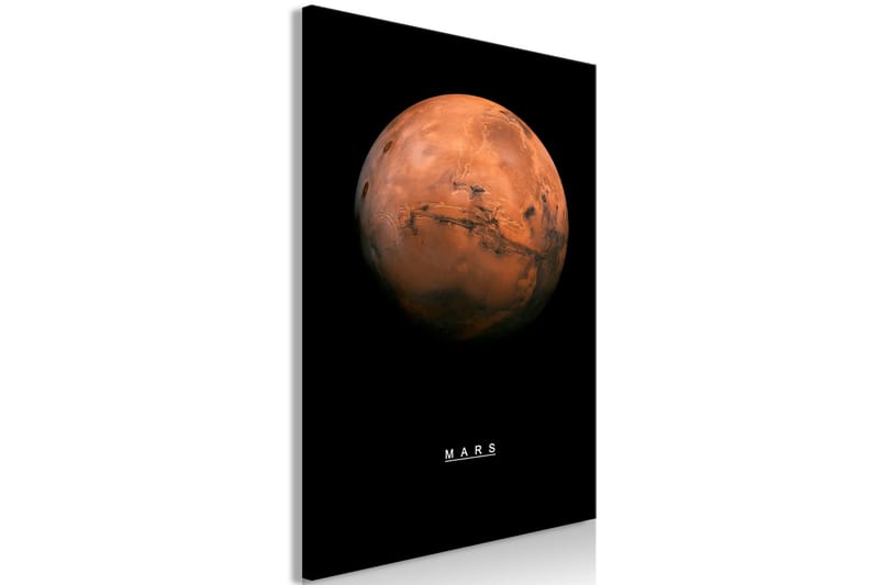 Taulu Mars (1 Part) Vertical 40x60 - Artgeist sp. z o. o. - Sisustustuotteet - Taulu & taide - Canvas-taulu