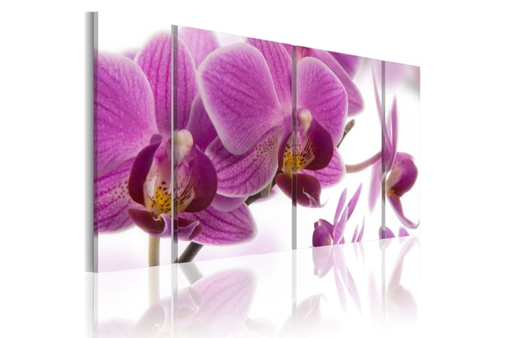 Taulu Marvelous Orchid 120x60 - Artgeist sp. z o. o. - Seinäkoristeet - Canvas-taulu