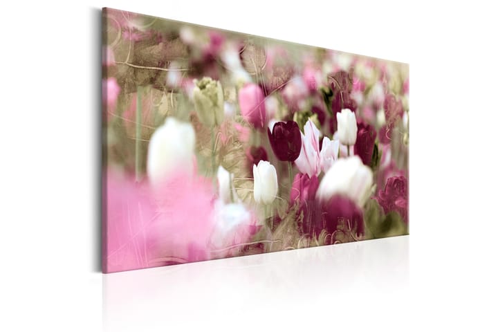 Taulu Meadow of Tulips 120x80 - Artgeist sp. z o. o. - Canvas-taulu - Seinäkoristeet