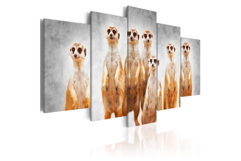 Taulu Meerkats 100x50, Artgeist sp. z o. o.