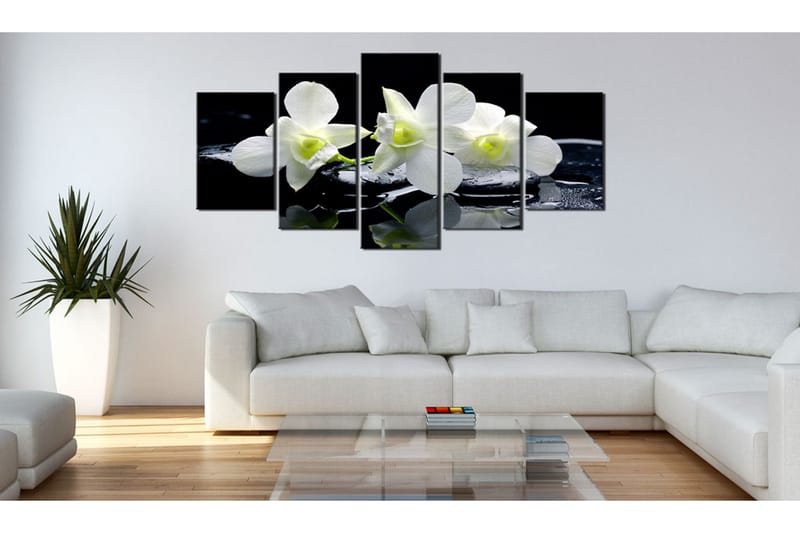 Taulu Melancholic Orchids 200x100 - Artgeist sp. z o. o. - Sisustustuotteet - Taulu & taide - Canvas-taulu