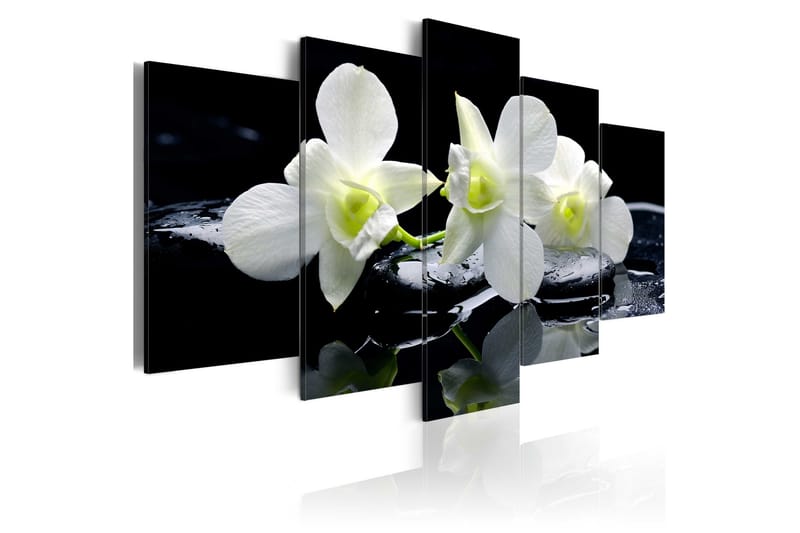 Taulu Melancholic Orchids 200x100 - Artgeist sp. z o. o. - Sisustustuotteet - Taulu & taide - Canvas-taulu