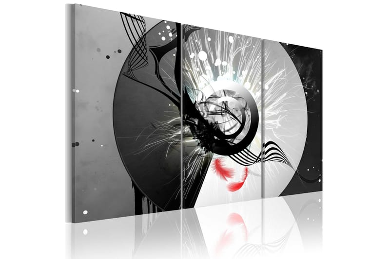 Taulu Metal Circle & Red Feathers 60x40, Artgeist sp. z o. o.