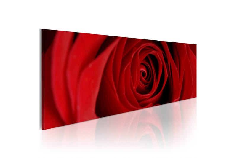Taulu Midnight Rose 120x40, Artgeist sp. z o. o.