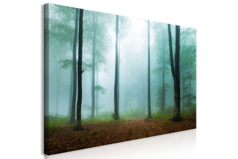 Taulu Misty Morning (1 Part) Wide 120x60 - Artgeist sp. z o. o. - Sisustustuotteet - Taulu & taide - Canvas-taulu