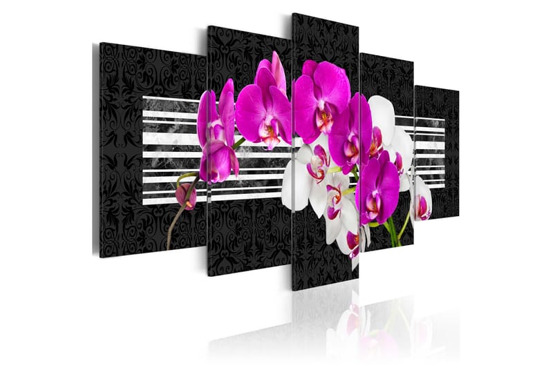 Taulu Modest Orchids 100x50, Artgeist sp. z o. o.
