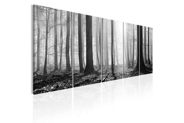 Taulu Monochrome Forest 200x80 - Artgeist sp. z o. o. - Canvas-taulu - Seinäkoristeet