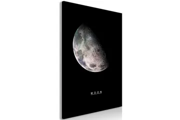 Taulu Moon (1 Part) Vertical 40x60 - Artgeist sp. z o. o. - Sisustustuotteet - Taulu & taide - Canvas-taulu