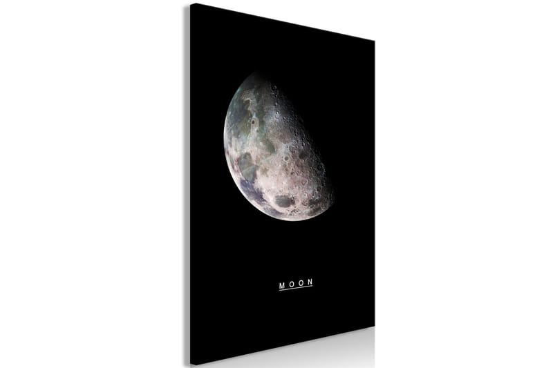 Taulu Moon (1 Part) Vertical 40x60 - Artgeist sp. z o. o. - Sisustustuotteet - Taulu & taide - Canvas-taulu