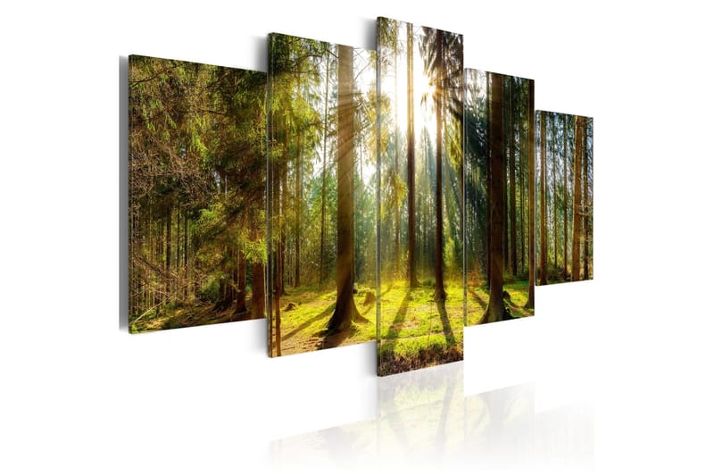 Taulu Morning Awakening 100x50, Artgeist sp. z o. o.