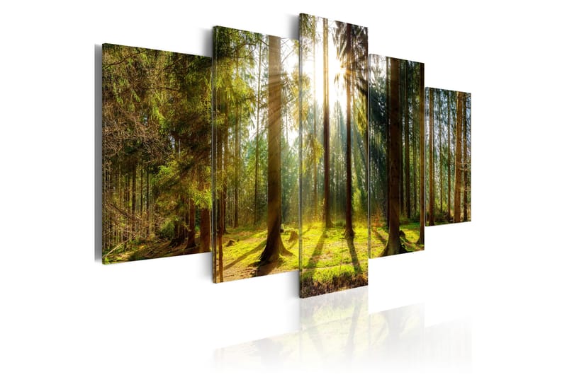 Taulu Morning Awakening 200x100 - Artgeist sp. z o. o. - Sisustustuotteet - Taulu & taide - Canvas-taulu