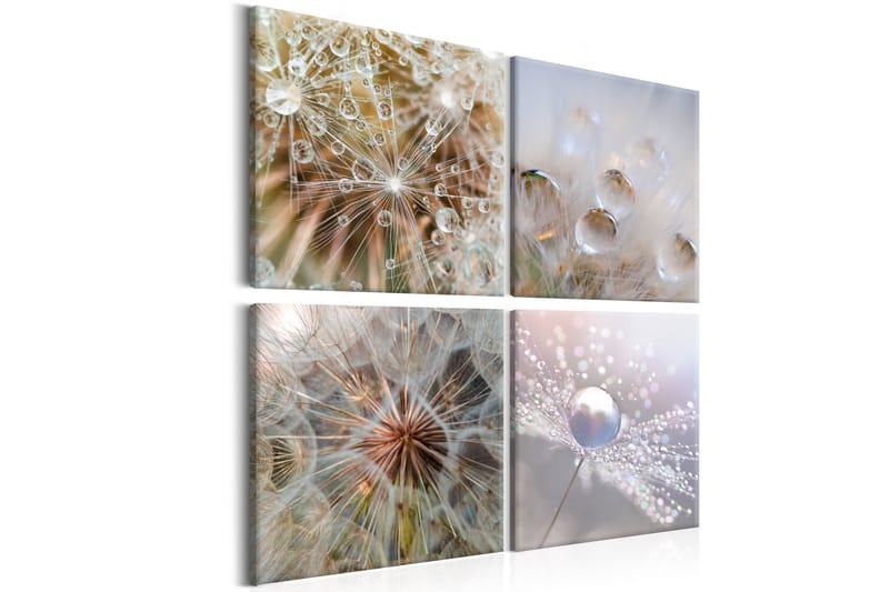 Taulu Morning Glow 60x60 - Artgeist sp. z o. o. - Sisustustuotteet - Taulu & taide - Canvas-taulu