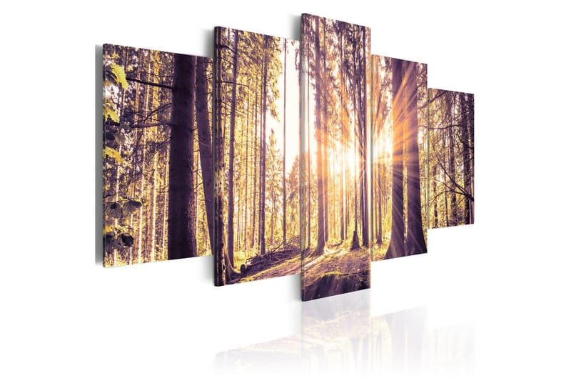 Taulu Morning Idyll 200x100 - Artgeist sp. z o. o. - Sisustustuotteet - Taulu & taide - Canvas-taulu