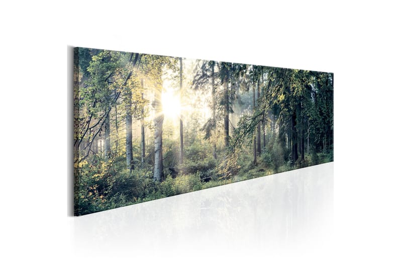 Taulu Morning Magic 150x50 - Artgeist sp. z o. o. - Sisustustuotteet - Taulu & taide - Canvas-taulu