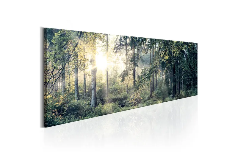 Taulu Morning Magic 150x50, Artgeist sp. z o. o.