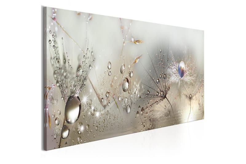Taulu Morning Song 120x40 - Artgeist sp. z o. o. - Sisustustuotteet - Taulu & taide - Canvas-taulu