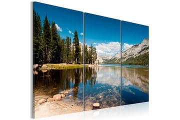 Taulu Mountains Trees And Pure Lake 120x80