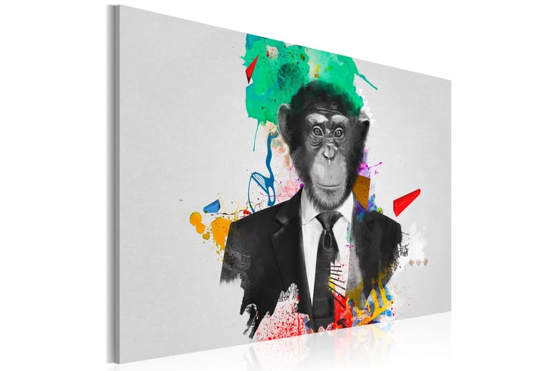 Taulu Mr Monkey 90x60 - Artgeist sp. z o. o. - Canvas-taulu - Seinäkoristeet