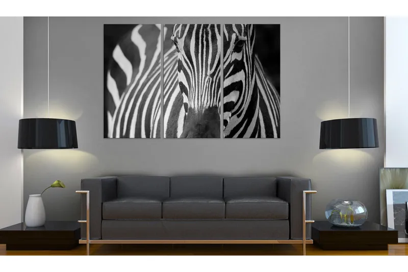 Taulu Mrs Zebra 90x60 - Artgeist sp. z o. o. - Sisustustuotteet - Taulu & taide - Canvas-taulu