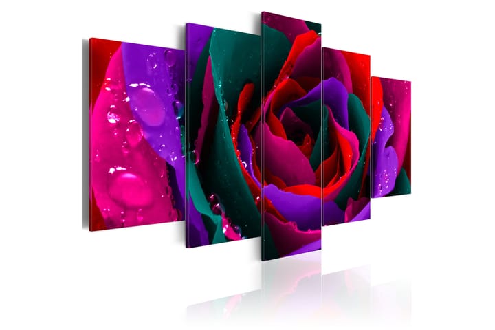 Taulu Multicoloured Rose 100x50 - Artgeist sp. z o. o. - Canvas-taulu - Seinäkoristeet