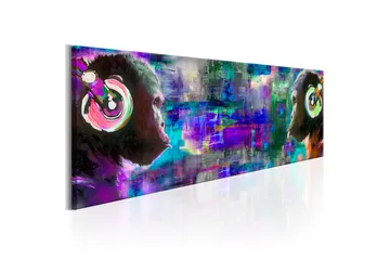 Taulu Musical Rivalry 120x40