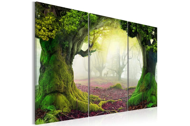 Taulu Mysterious forest triptych 90x60, Artgeist sp. z o. o.