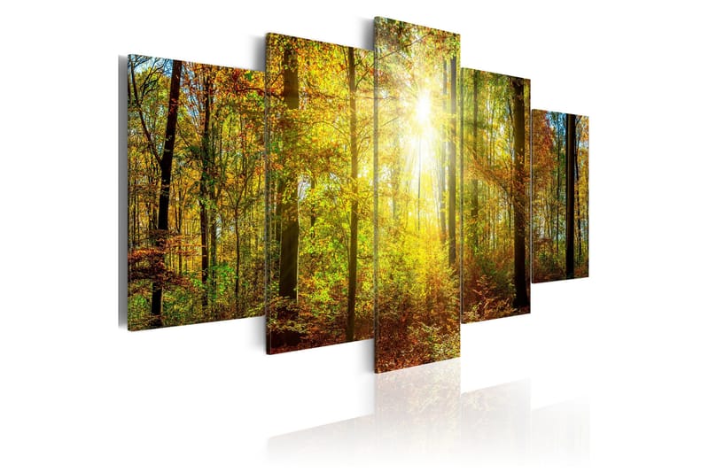 Taulu Mystical Forest 100x50, Artgeist sp. z o. o.